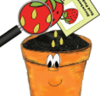 God's-Word-is-the-seed