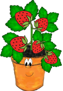 character-education-fruit