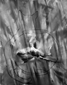 Shark in fishbowl