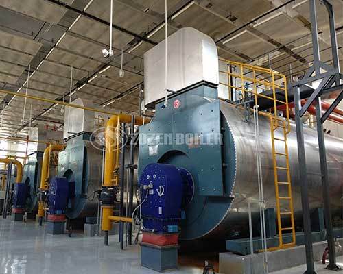 WNS series hot water boilers