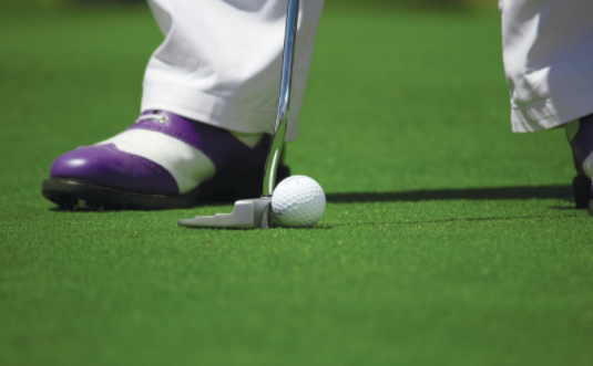 Pexels - CCO Licence