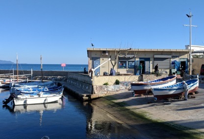 Port in la ciotat wooden boats or pointus