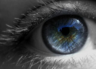 Kyla Duhamel, Flickr, CC 2.0