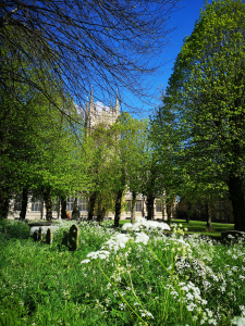 Spring in Bury St Edmunds
