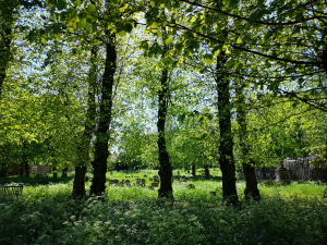 Spring in Bury St Edmunds
