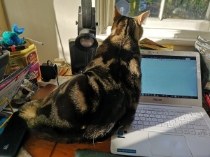 McCat being a pain in the arse.