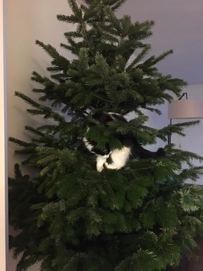 bella-kerstboom-recht