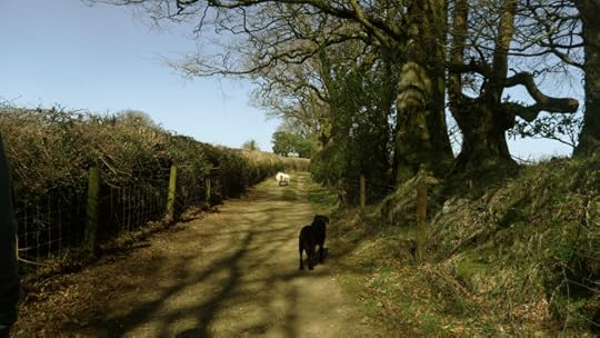 Tilly follows softly, careful not to spook them