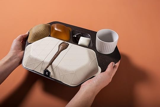ZERO Economy Meal Tray