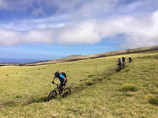 Hawaii Island outdoors