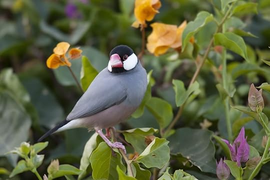 Hawaii Island outdoors