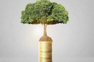 博猫娱乐客户端下载