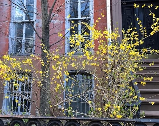 Spring, West Village, New York City
