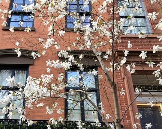 Spring in the West Village, New York City