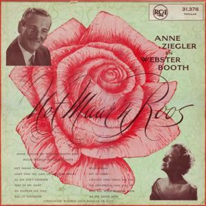 net maar 'n roos (2)