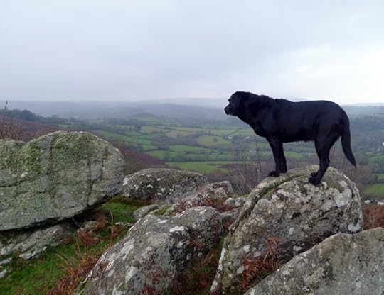 Nattadon Hill 3