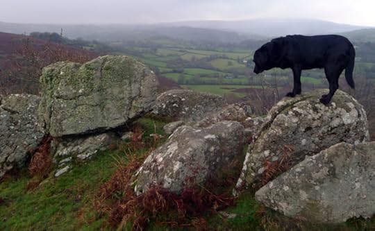 Nattadon Hill 13
