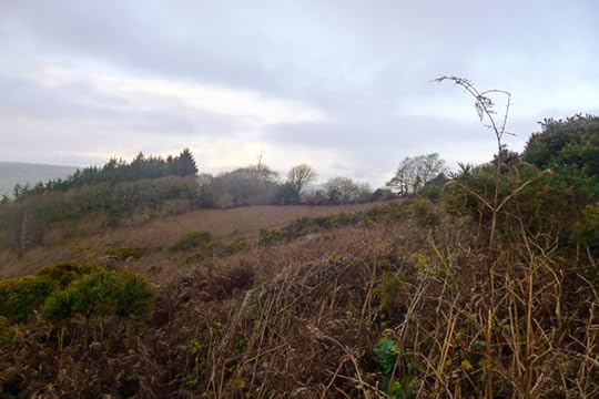 Nattadon Hill 6