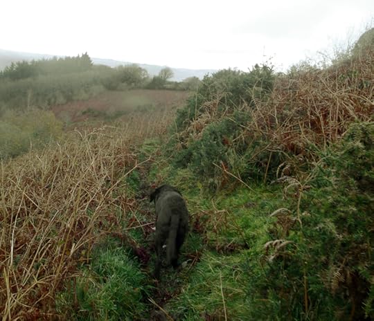 Nattadon Hill 5