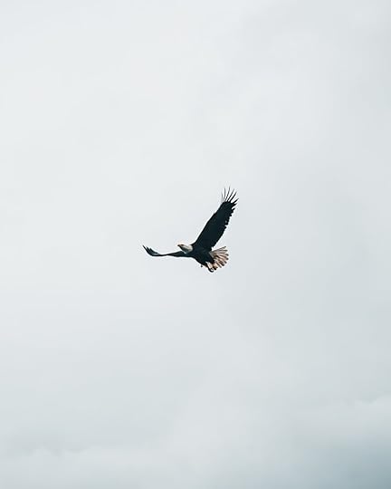 dane-deaner-mRAvVxhbbBs-unsplash.jpg