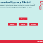 flat-organizational-structure