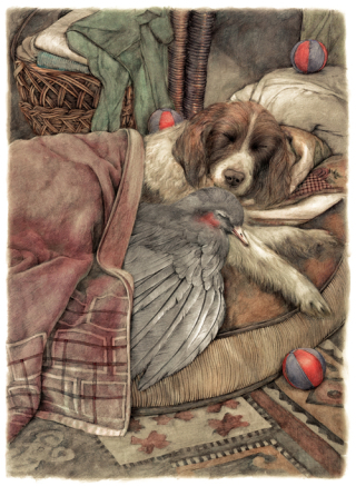 From Forever Flowers by Sonja Danowski