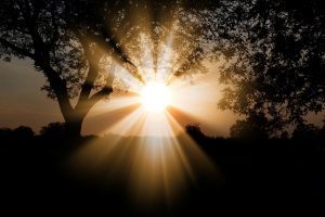 walking in the light