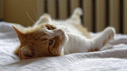 cat-on-bed