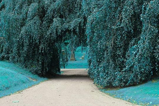 Otherworldly landscape photography