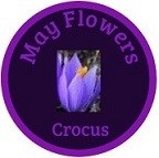 crocus3
