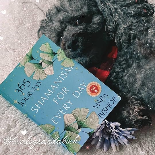 A cute black miniature poodle with a copy of the book entitled Shamanism for Every Day by Mara Bishop