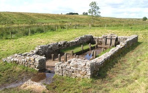 Brocolitia-Temple-3-SM