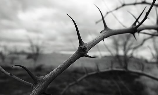 Thorns