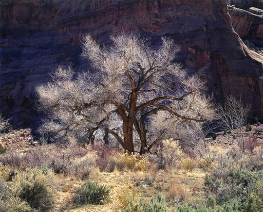 Photography by Christopher Burkett
