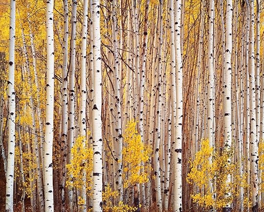 Photography by Christopher Burkett