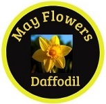 daffodil-3