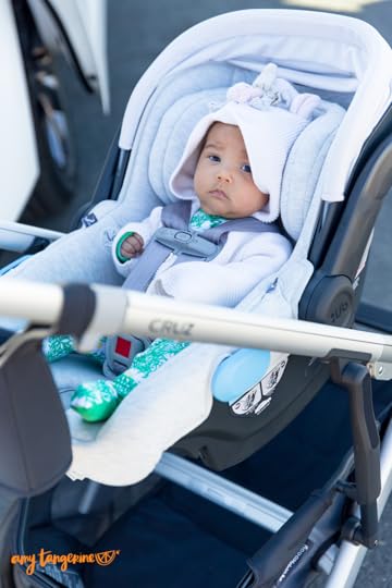 UPPAbaby-MESA-car-seat-review.png