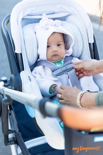 UPPAbaby-MESA-infant-car-seat.png
