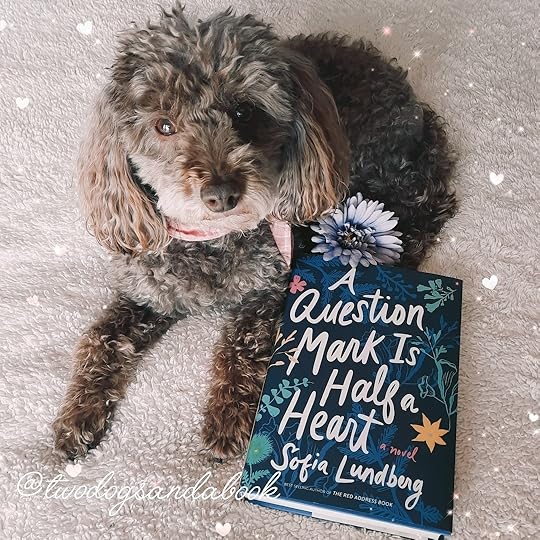 A dog on a bed with a book