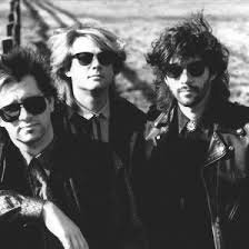 The Woods: Anderson, Enloe, and Cornell