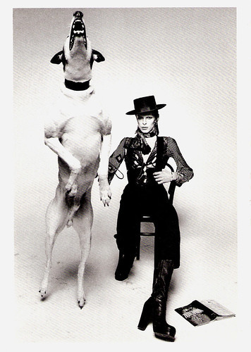 David Bowie