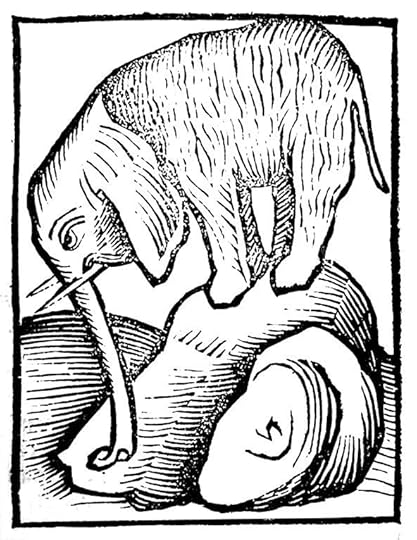 Destillatio.
