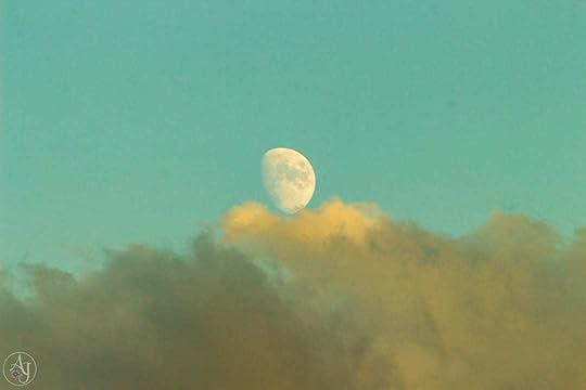 nature landscape photography moonrise