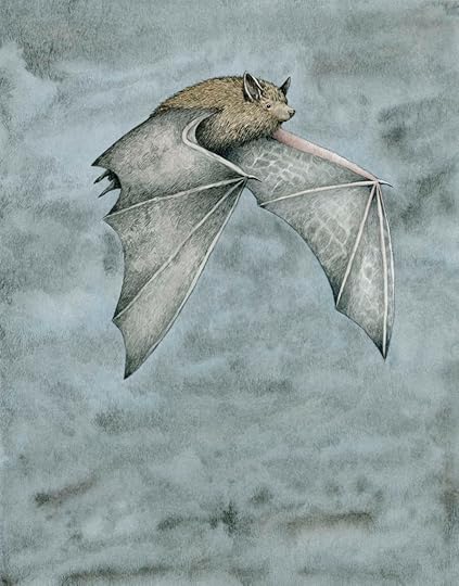 Dwarf Bat by Marieke Nelissen