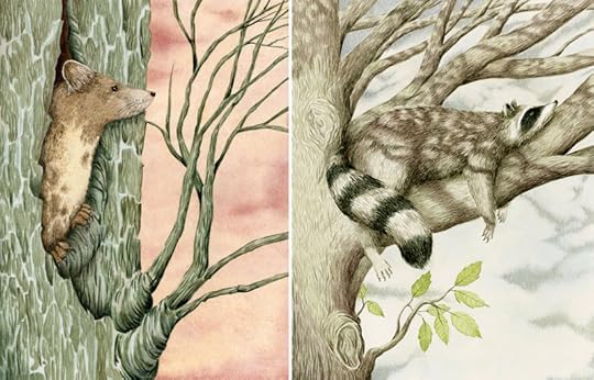 Tree Marten and Raccoon by Marieke Nelissen