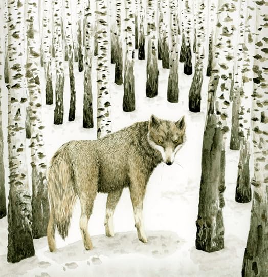 Wolf by Marieke Nelissen