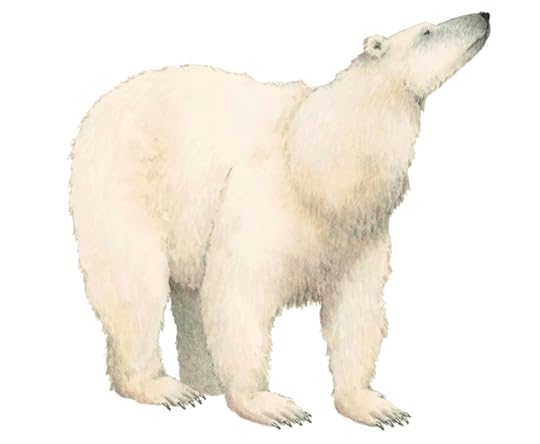 Polar Bear by Marieke Nelissen