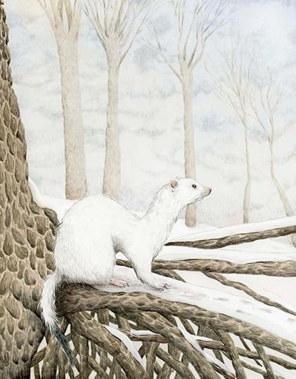 Ermine by Marieke Nelissen