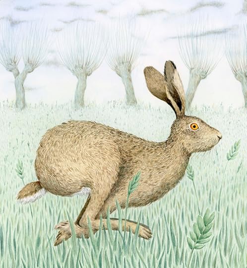 Hare by Marieke Nelissen