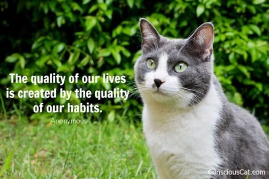 cat-habits-quote